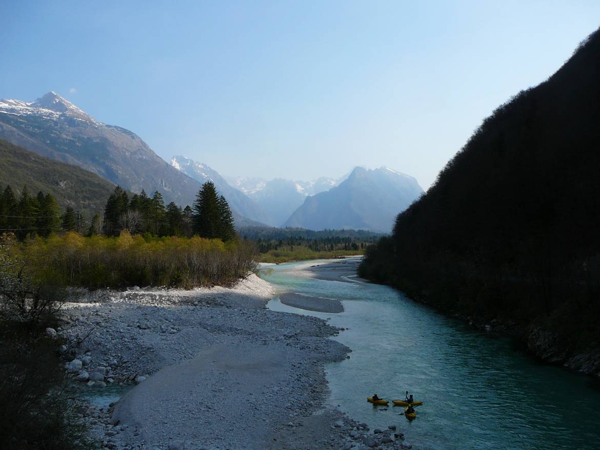 P1150774.jpg